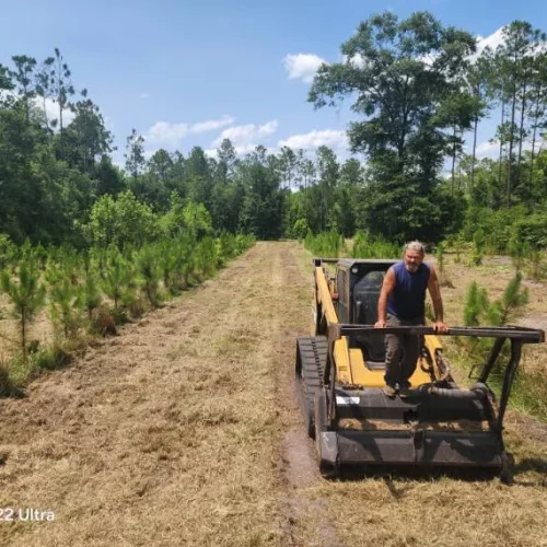 Home Land Clearing & Forestry Mulching